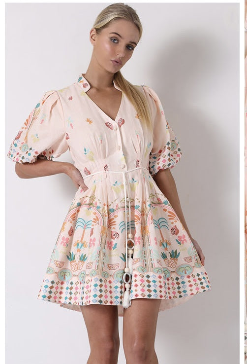 158 Acacia Dress Blush